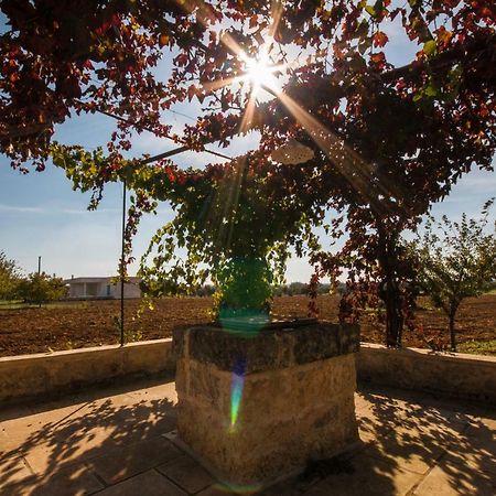 Tenuta Terraluna Cutrofiano Extérieur photo
